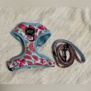Sassy Woof XS Harness and Leash
